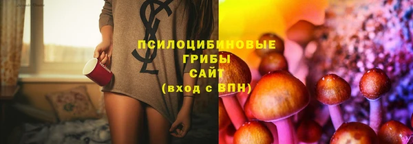 эйфоретик Магас