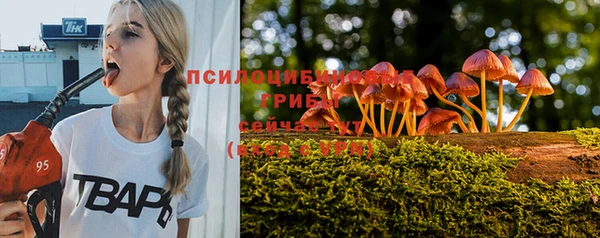 эйфоретик Магас